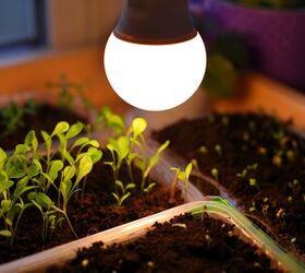 How To Grow Plants Indoors Without Sunlight