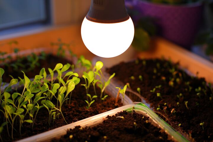 how to grow plants indoors without sunlight