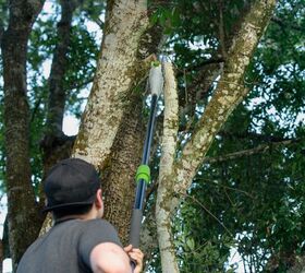 When And How To Use A Pole Saw Versus A Pole Pruner