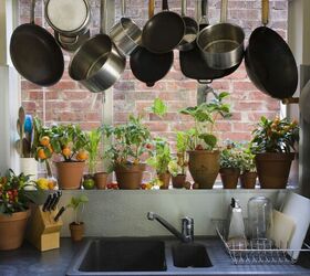 Best Plants To Grow By The Kitchen Window