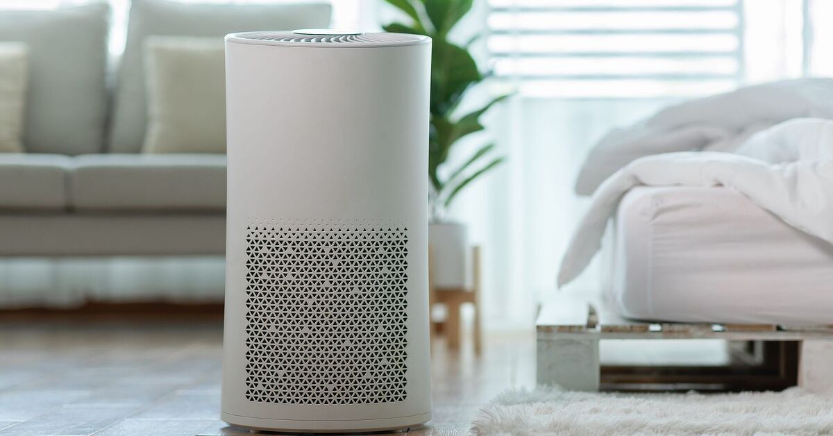 Are Air Purifiers A Waste Of Money? | Upgradedhome.com