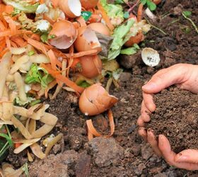Household Waste That Can Add Nutrients To Potting Soil