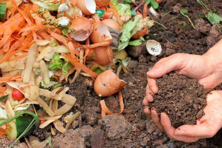 Household Waste That Can Add Nutrients To Potting Soil