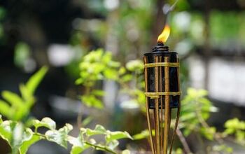 Does Citronella Actually Help Keep Bugs Away?