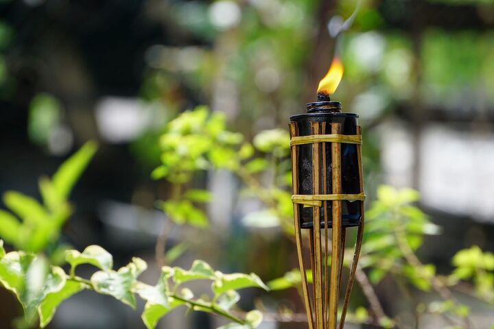 Does Citronella Actually Help Keep Bugs Away?