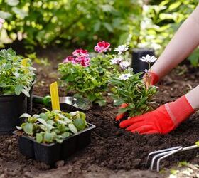 Are You Allowed To Plant A Garden At A Rental Property?