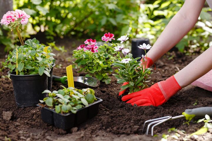 are you allowed to plant a garden at a rental property
