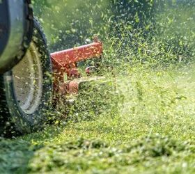 Does Mowing The Lawn Kill Ticks?