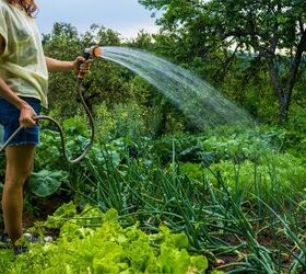 can you go a week without watering your garden