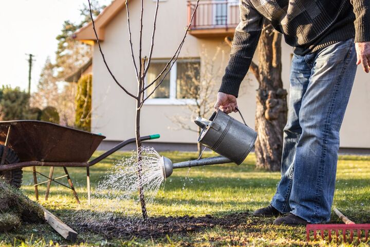 Where To Plant Trees To Save On Air Conditioning