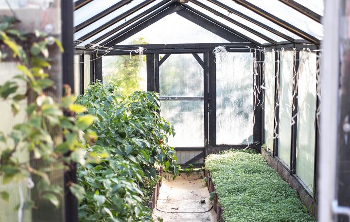 how much does it cost to build a greenhouse