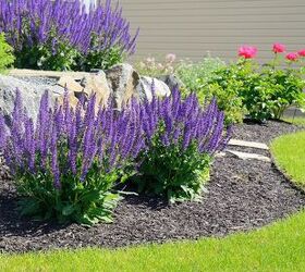 How To Make Sure Perennials Come Back