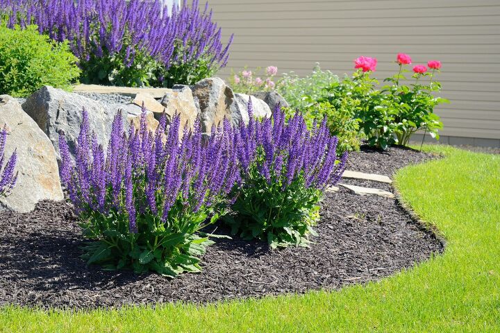 How To Make Sure Perennials Come Back