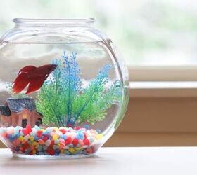 Cleaning betta fish clearance bowl