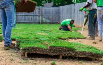 How Much Does A Pallet Of Sod Cost At Home Depot? (Find Out Now!)