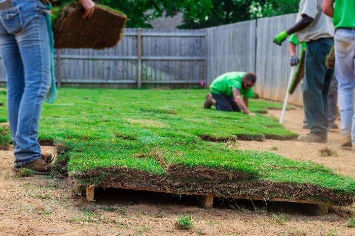 how much does a pallet of sod cost at home depot find out now