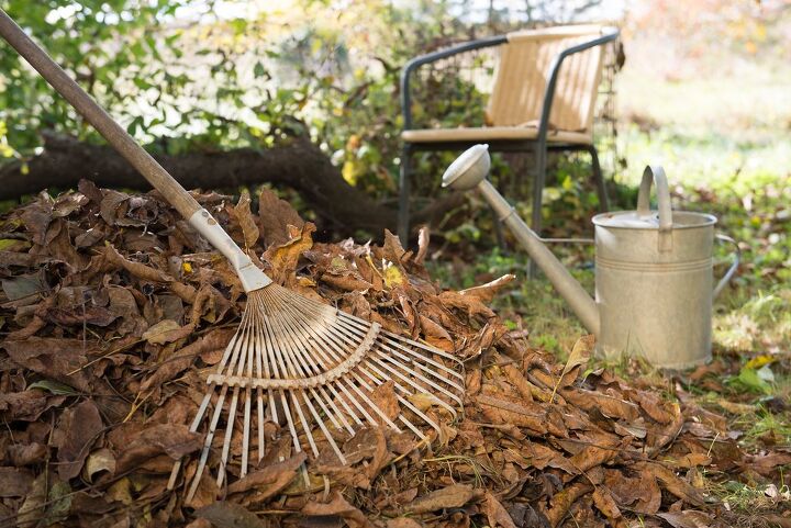 When Should You Water Outdoor Plants For The Last Time Of The Year?