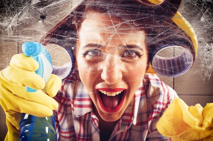 how to get rid of spiders in your basement