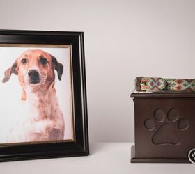 What Should I Do With My Dog’s Ashes?