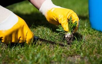 How To Prevent Weeds In The Spring