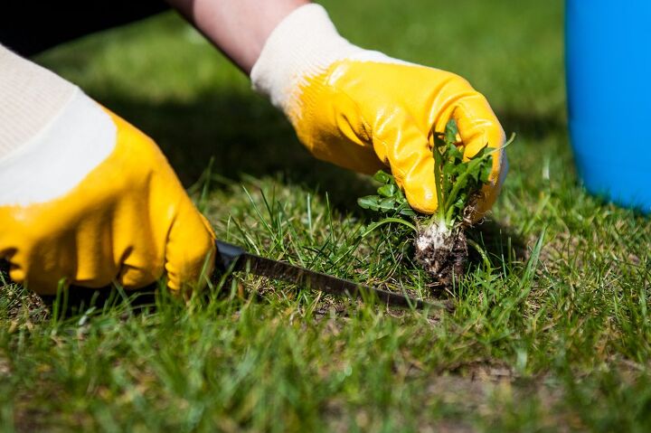 How To Prevent Weeds In The Spring