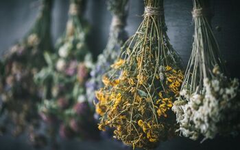 How To Dry Herbs From Y​​our Garden For Later Use