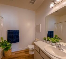Plants You Can Grow In A Bathroom Without Windows