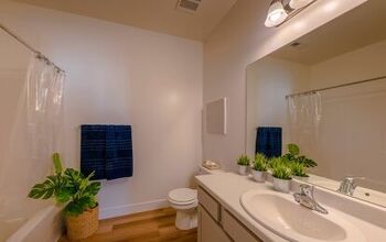 Plants You Can Grow In A Bathroom Without Windows