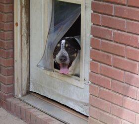 Do Dog Doors Decrease Home Value?