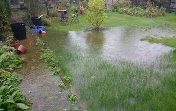 How To Revive Plants After A Flood