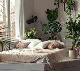 How To Grow Tropical Plants Indoors