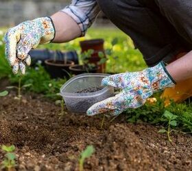 How Much Does It Cost To Start A Garden?