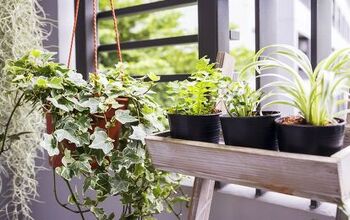 Best Plants For Purifying The Air In Your Home