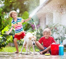 Ways To Help Keep Your Dog Cool In The Yard This Summer