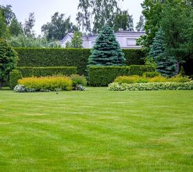 What Type Of Privacy Hedges Grow Quickly?