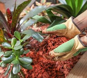 The Best And Worst Types Of Mulch For Your Garden