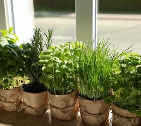 11 Easiest Herbs To Grow At Home