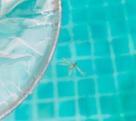 How To Keep Bugs Out Of Your Pool