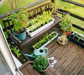 Six Different Low-Cost Container Garden Ideas