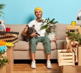 Tips To Make Moving With Pets Easier