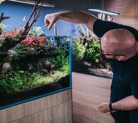 What To Do With Your Aquarium When You Go On Vacation
