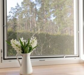 10 Bugs That Can Fit Through Your Window Screens | Upgradedhome.com