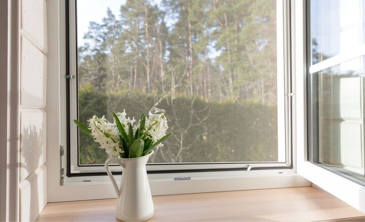 10 Bugs That Can Fit Through Your Window Screens | Upgradedhome.com