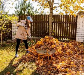 What To Do With Dead Leaves After Raking Them