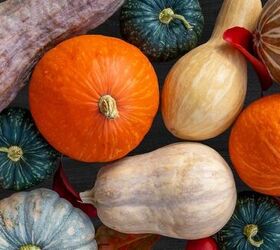 12 Different Types Of Pumpkins And Squash To Try This Fall