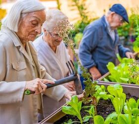 9 Gardening Tips For Seniors