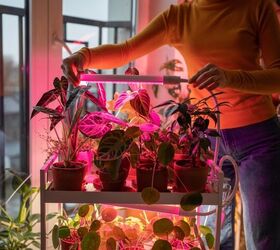 Should You Leave Grow Lights On 24/7?