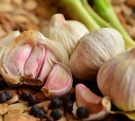 7 Ways To Preserve Your Garlic Harvest And Ways To Use It Up