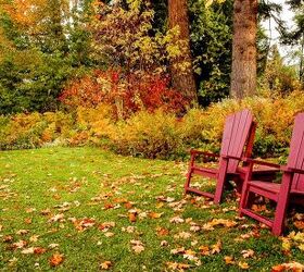 How To Prevent Leaves From Blowing Into Your Yard