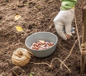 12 Vegetables And Herbs You Can Plant Outdoors In October